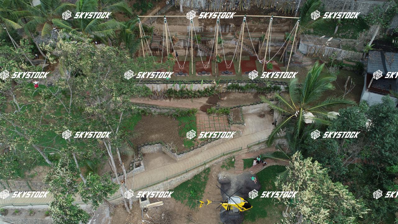 バリスイング11