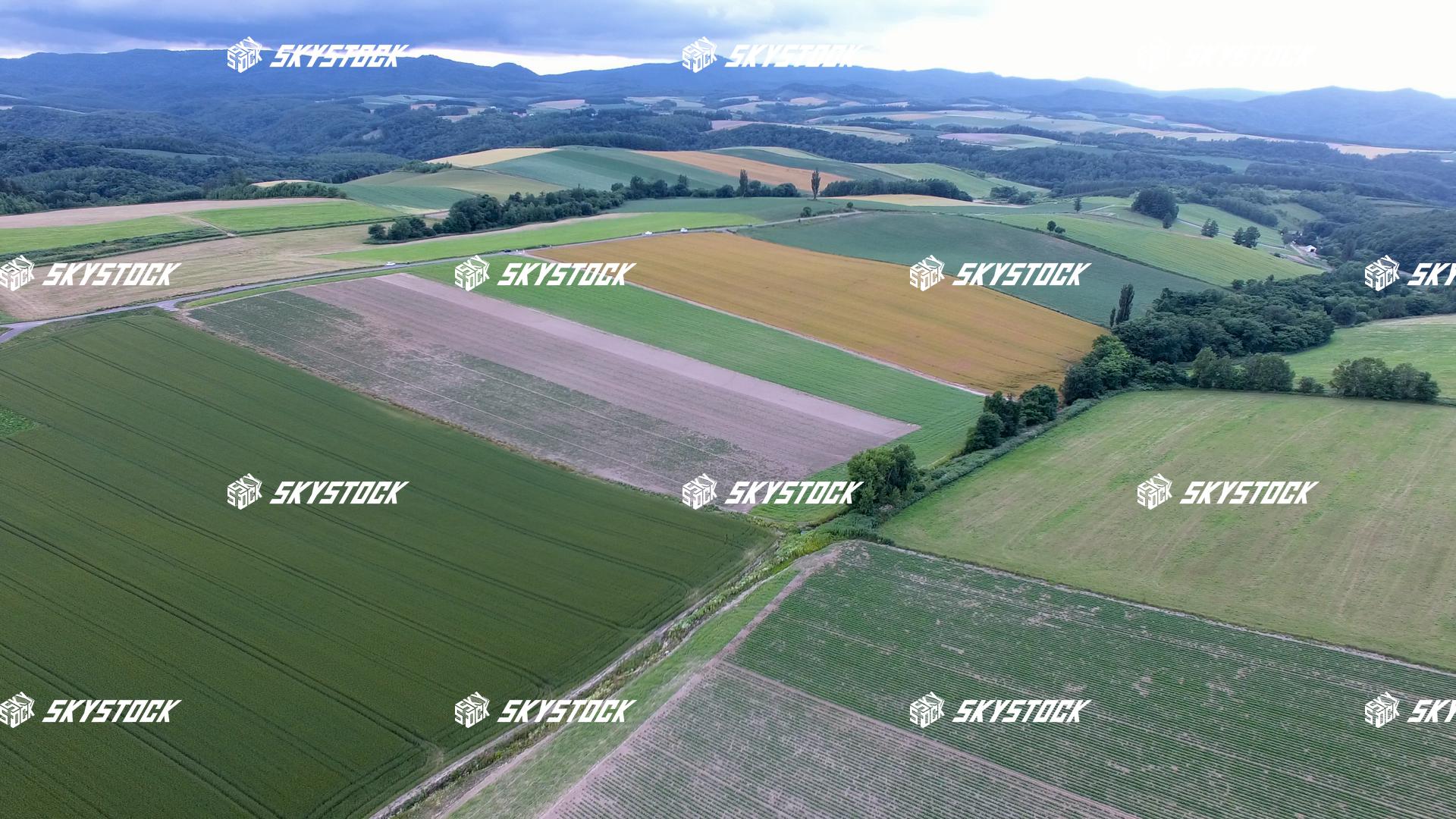 新栄の丘展望公園１