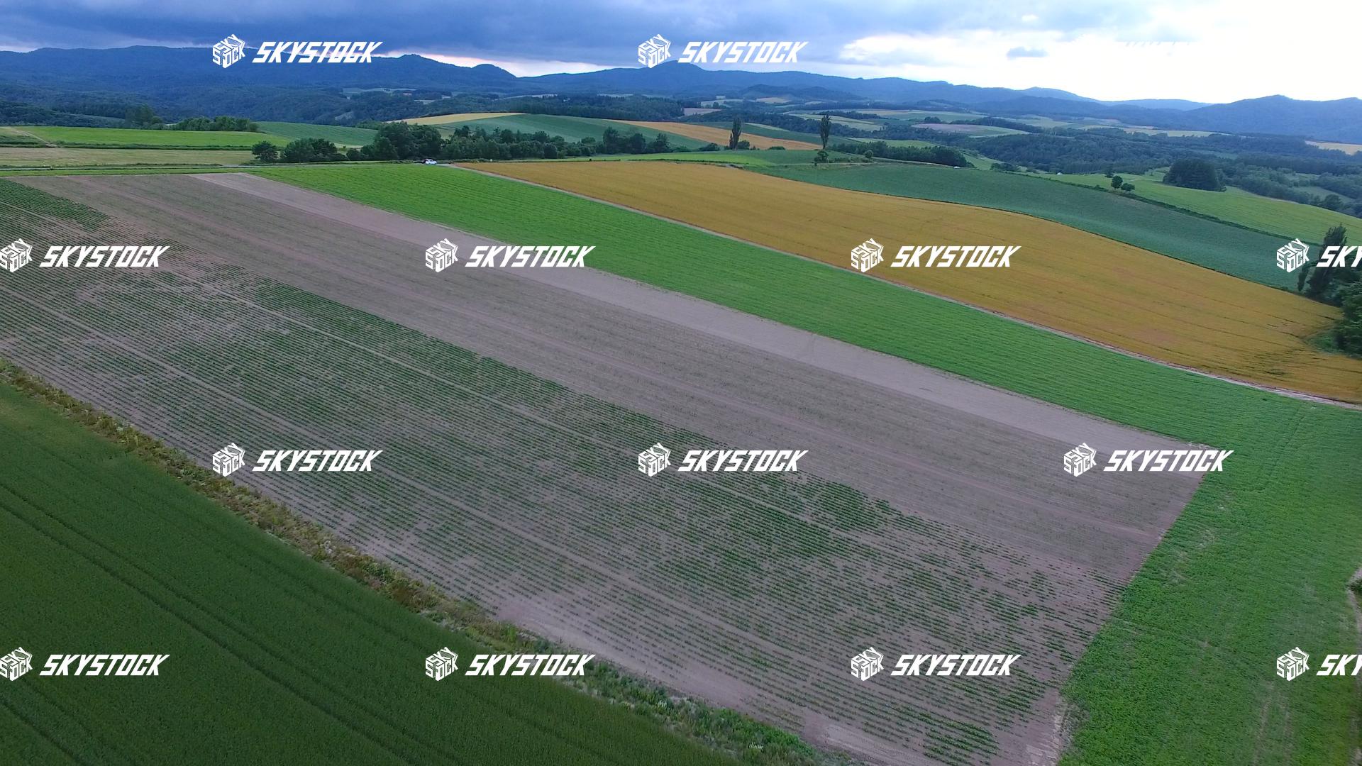 新栄の丘展望公園２