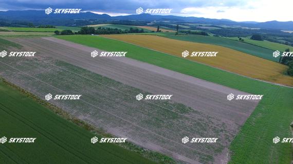 新栄の丘展望公園２