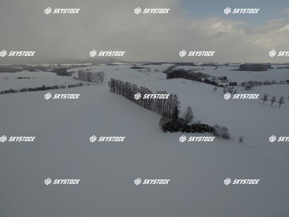 マイルドセブンの丘２