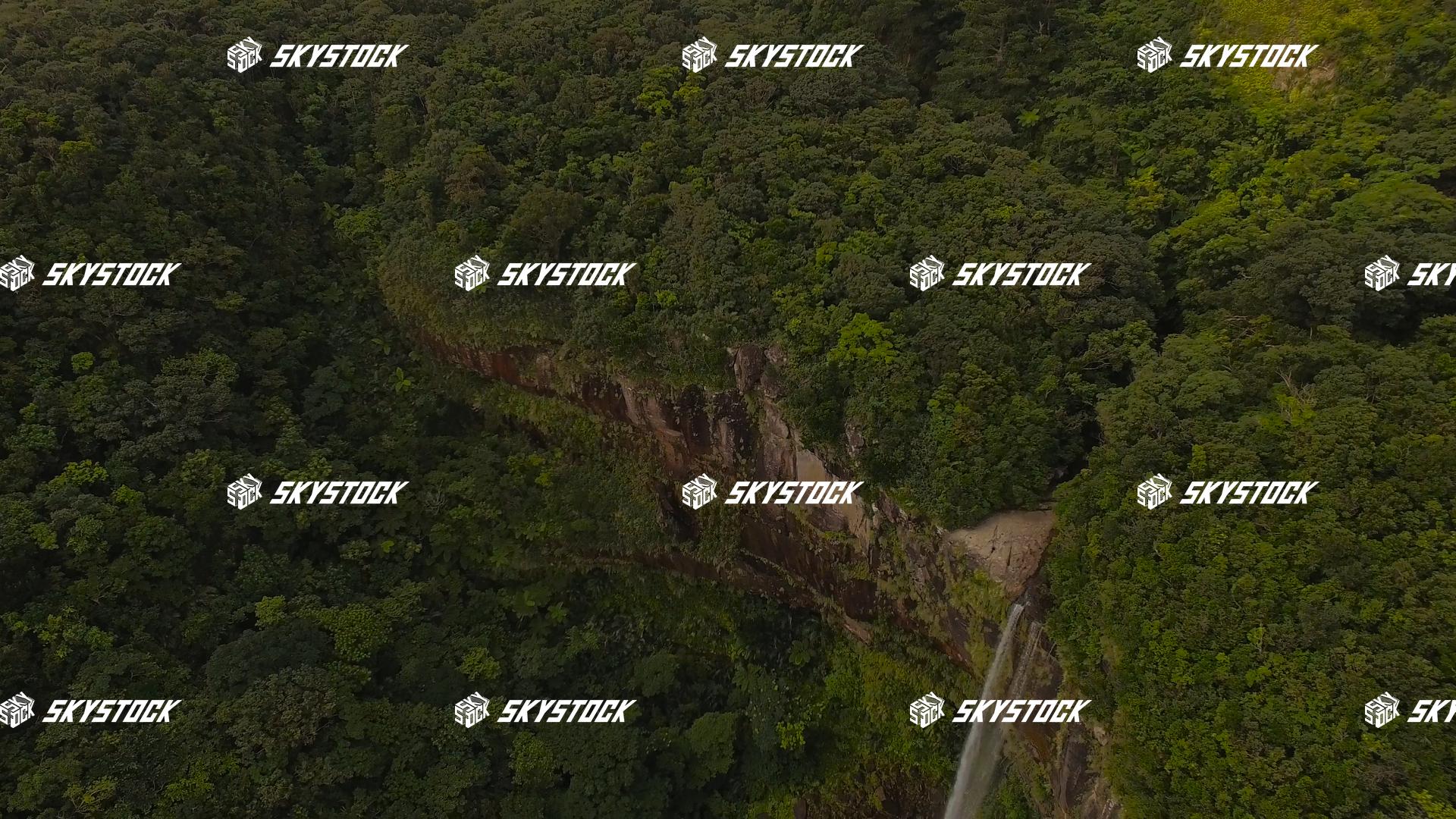 ピナイサーラ１１