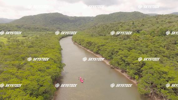 マングローブ８