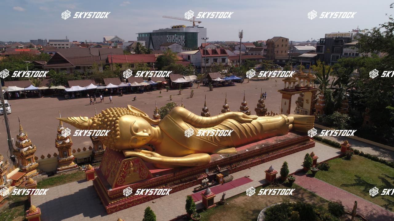 タートルアン29