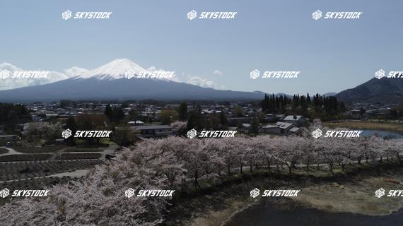 河口湖八木崎公園1