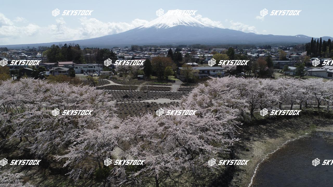河口湖八木崎公園2