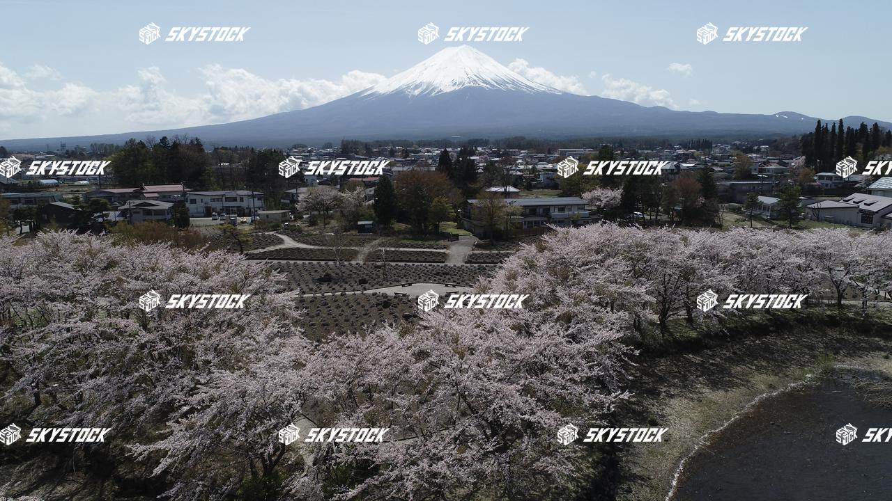 河口湖八木崎公園3