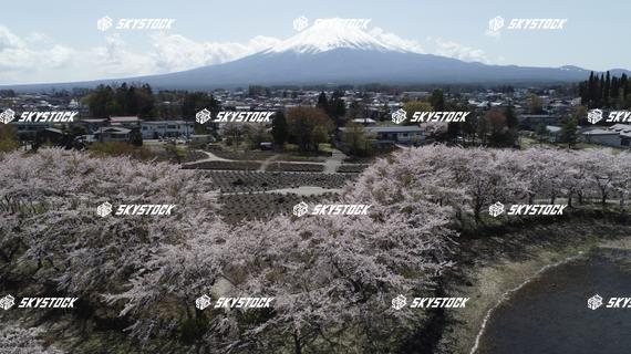 河口湖八木崎公園2