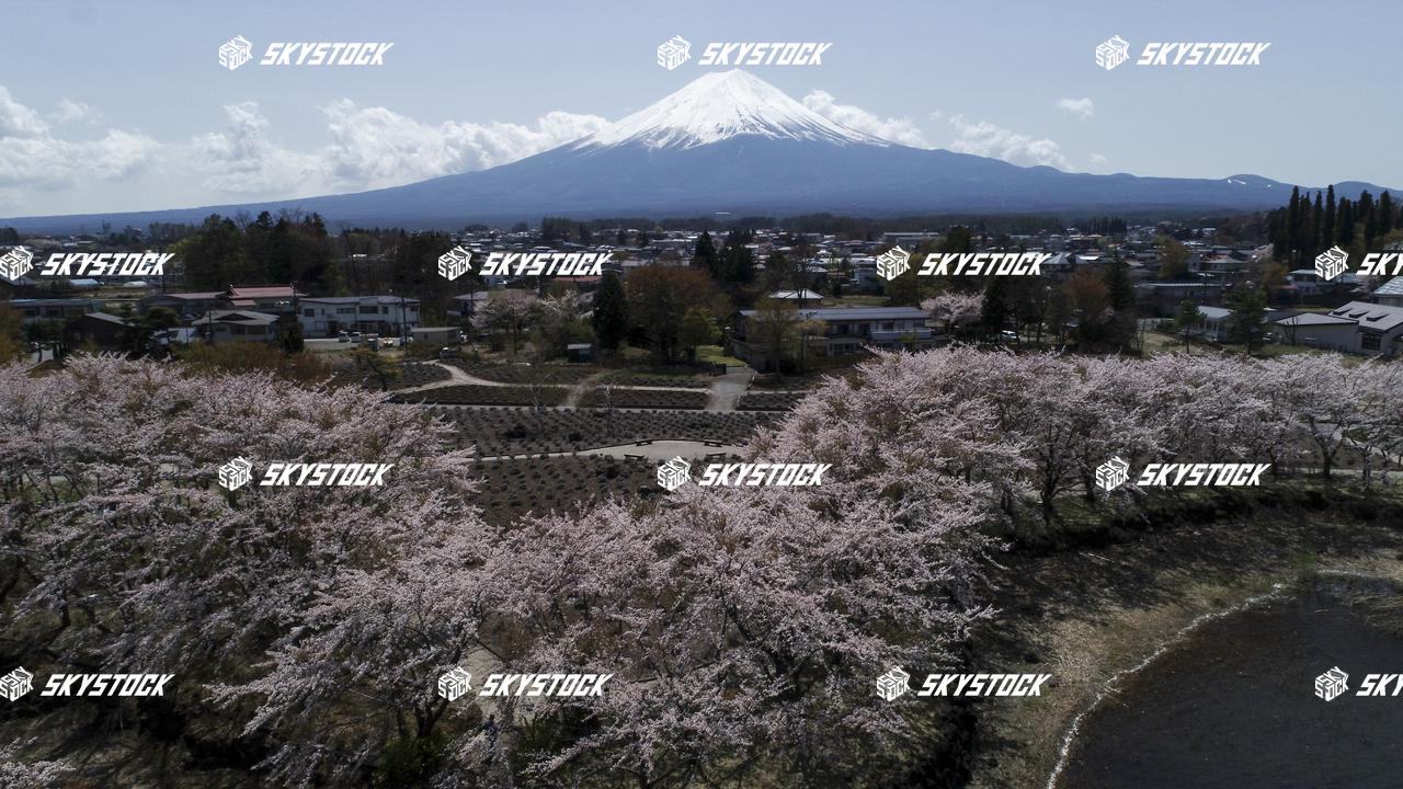 河口湖八木崎公園4