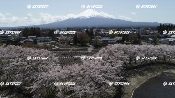 河口湖八木崎公園3