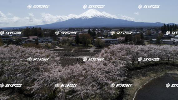 河口湖八木崎公園4