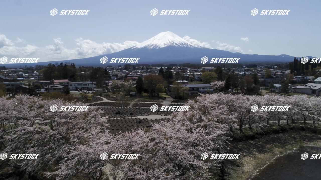 河口湖八木崎公園5