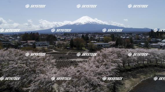 河口湖八木崎公園5