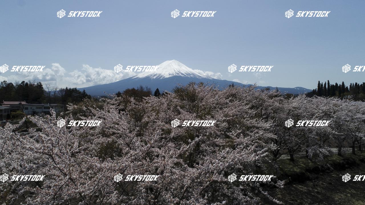 河口湖八木崎公園7