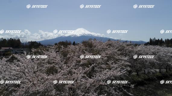 河口湖八木崎公園7