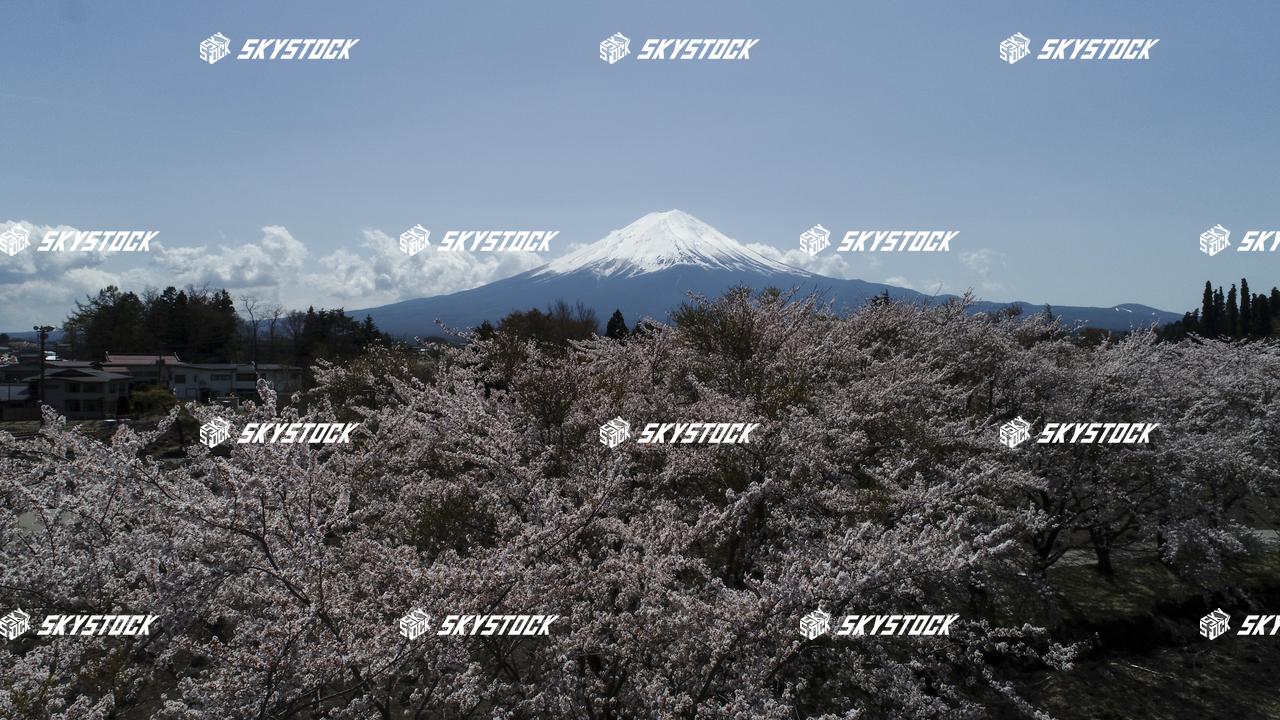 河口湖八木崎公園8