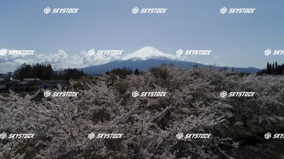 河口湖八木崎公園8
