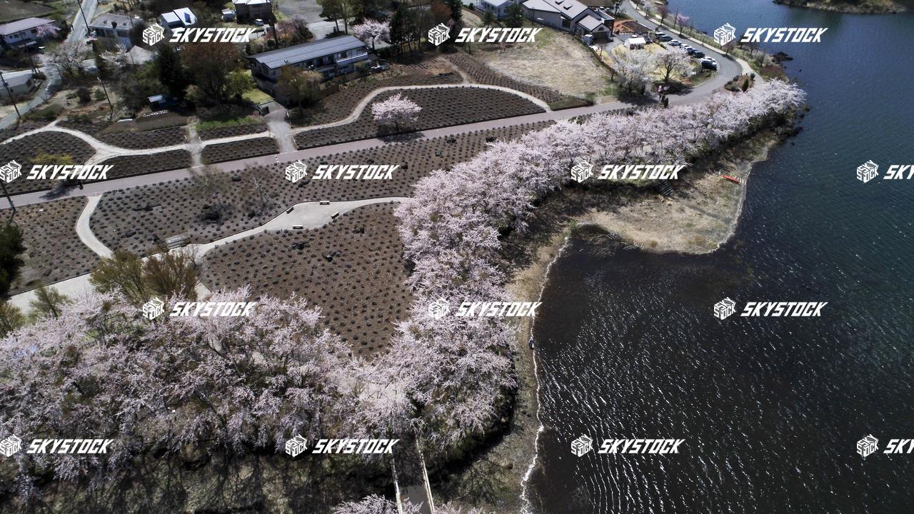 河口湖八木崎公園14