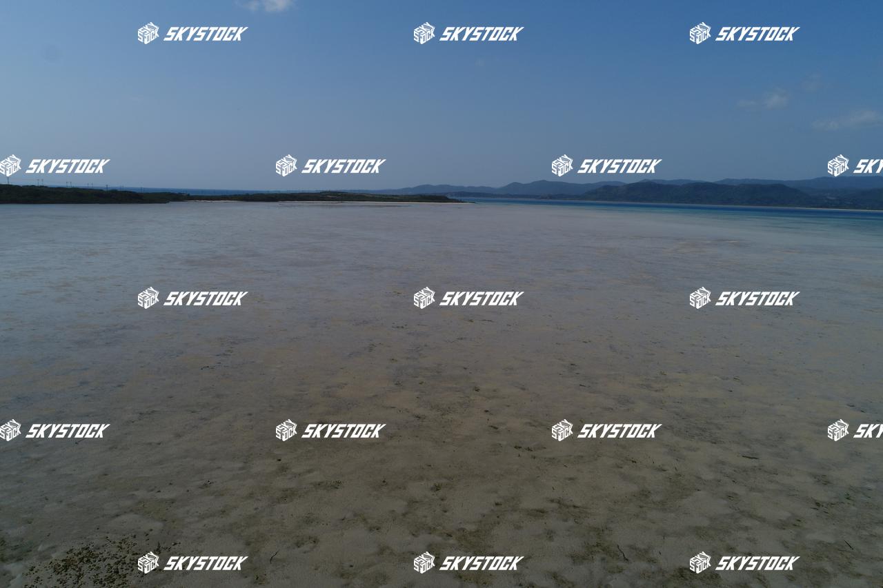 小浜島マングローブ2