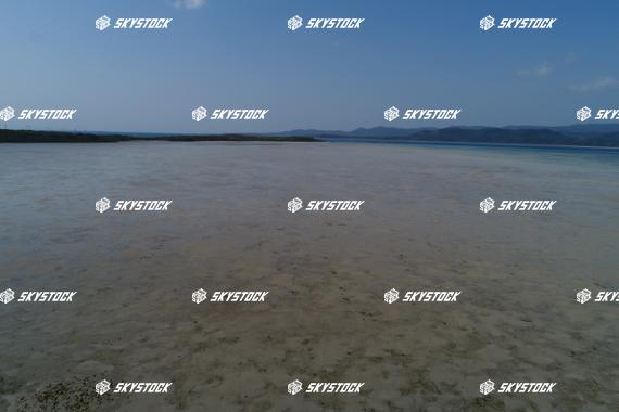 小浜島マングローブ2