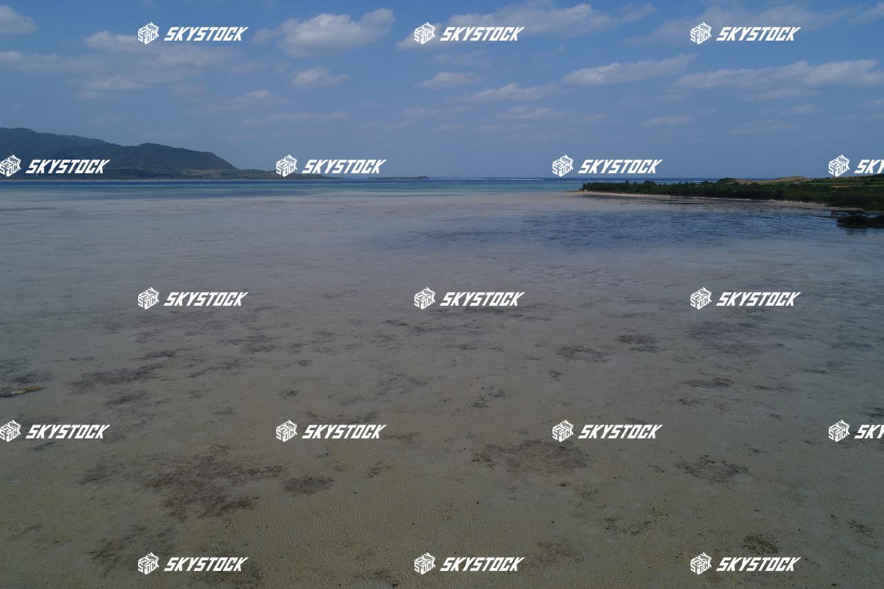 小浜島マングローブ7