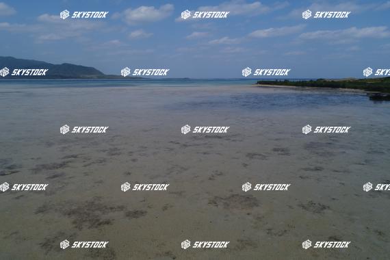 小浜島マングローブ7