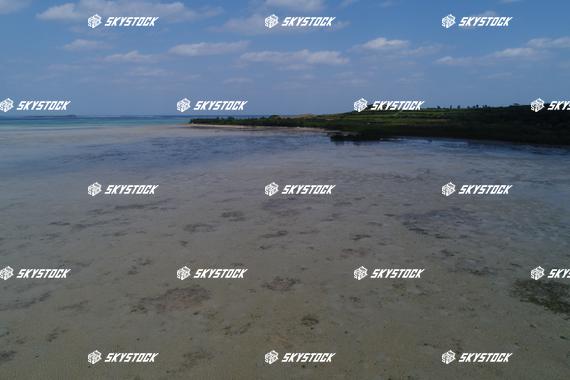 小浜島マングローブ8