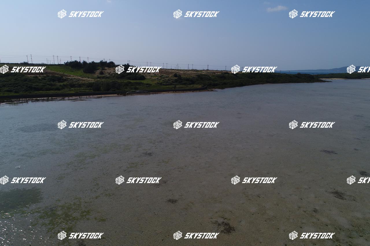 小浜島マングローブ9