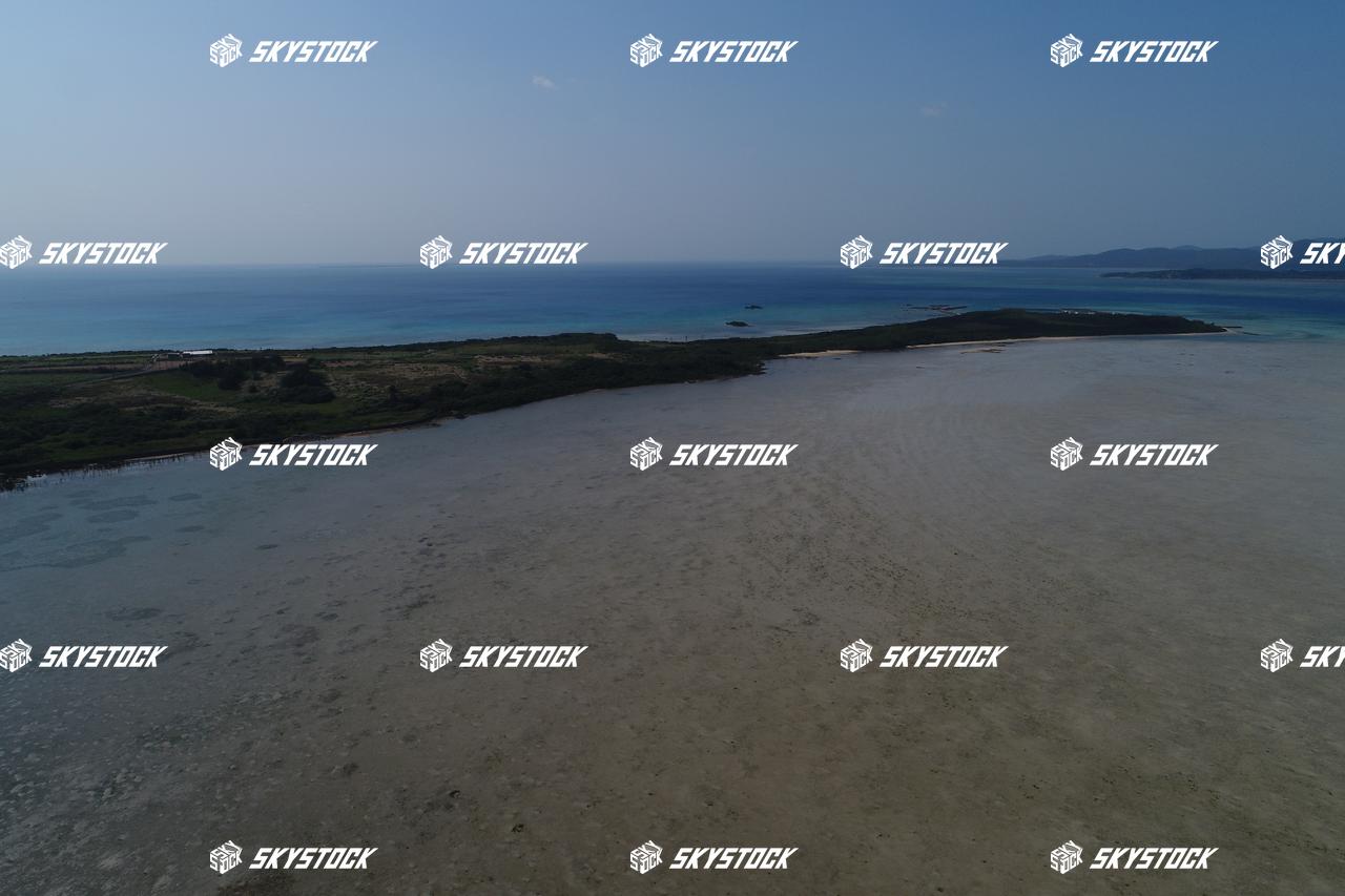 小浜島マングローブ13