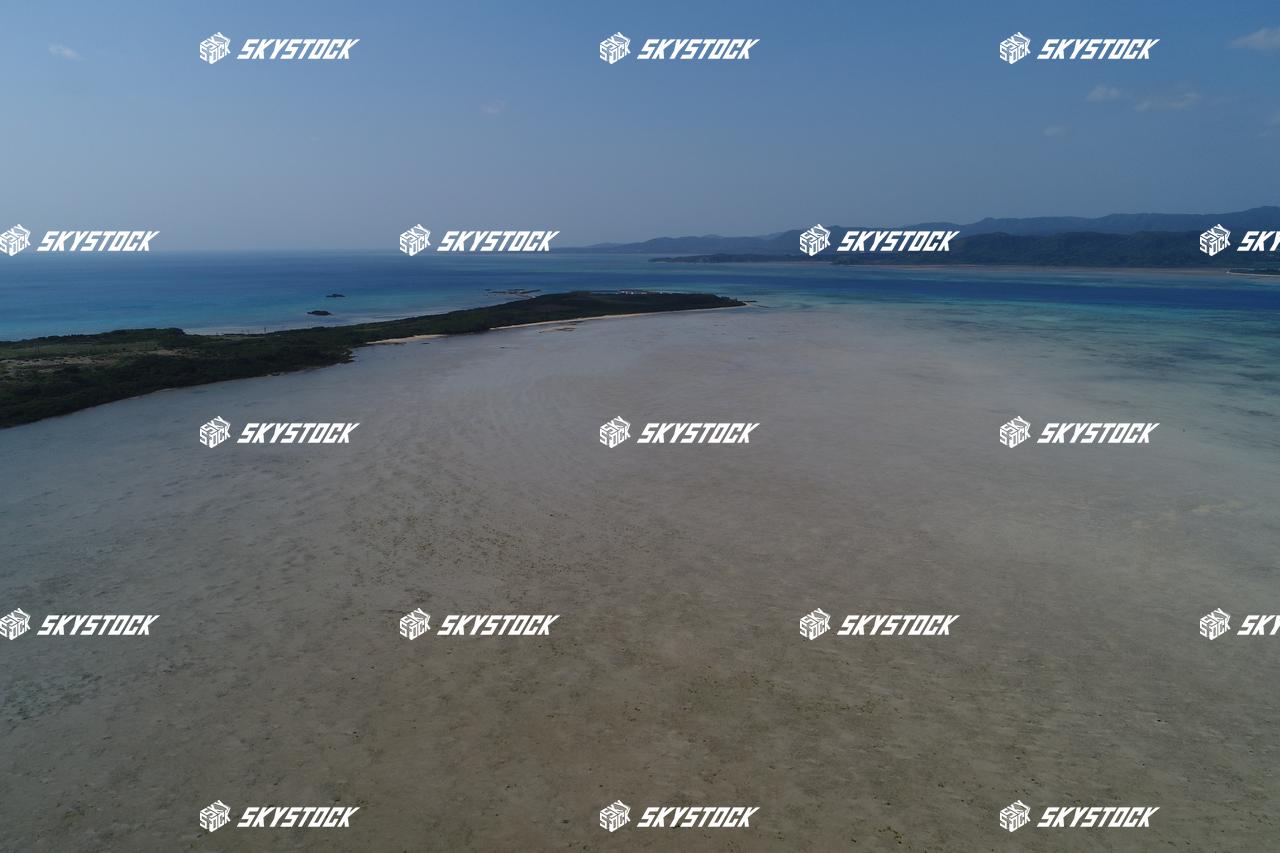 小浜島マングローブ14