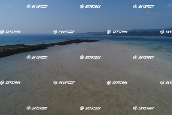 小浜島マングローブ14