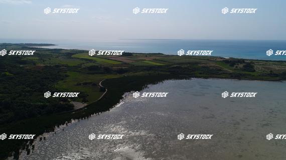 小浜島マングローブ16