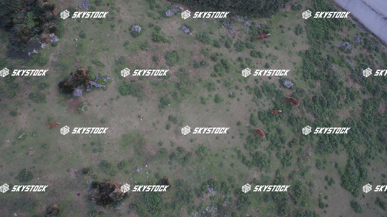 与那国　サービス5