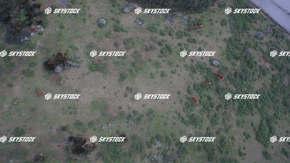 与那国　サービス5