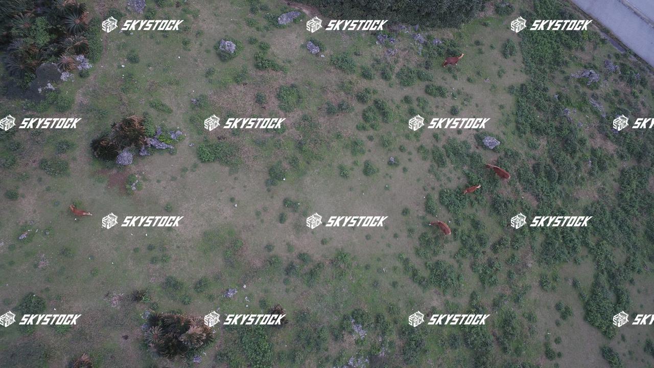 与那国　サービス6