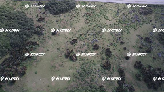 与那国　サービス1