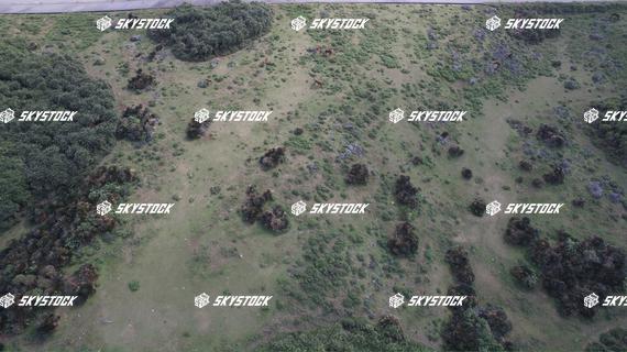 与那国　サービス2