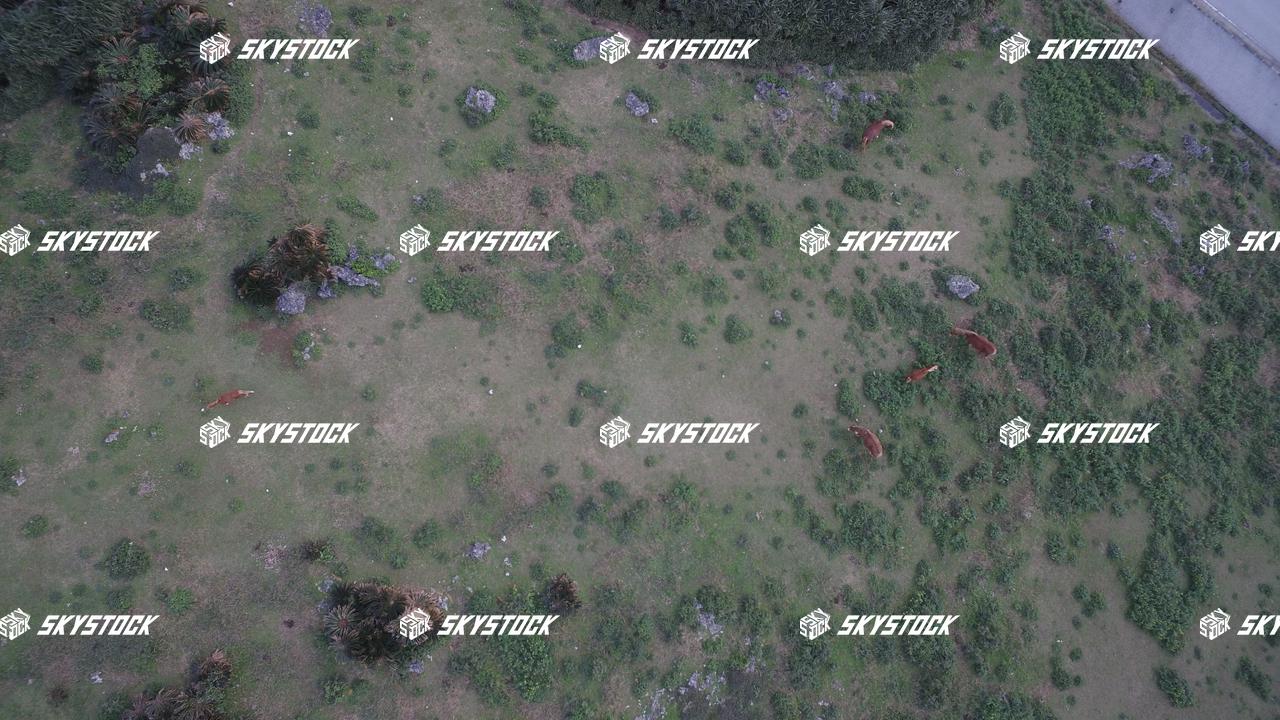 与那国　サービス3