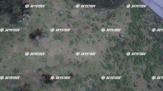 与那国　サービス3