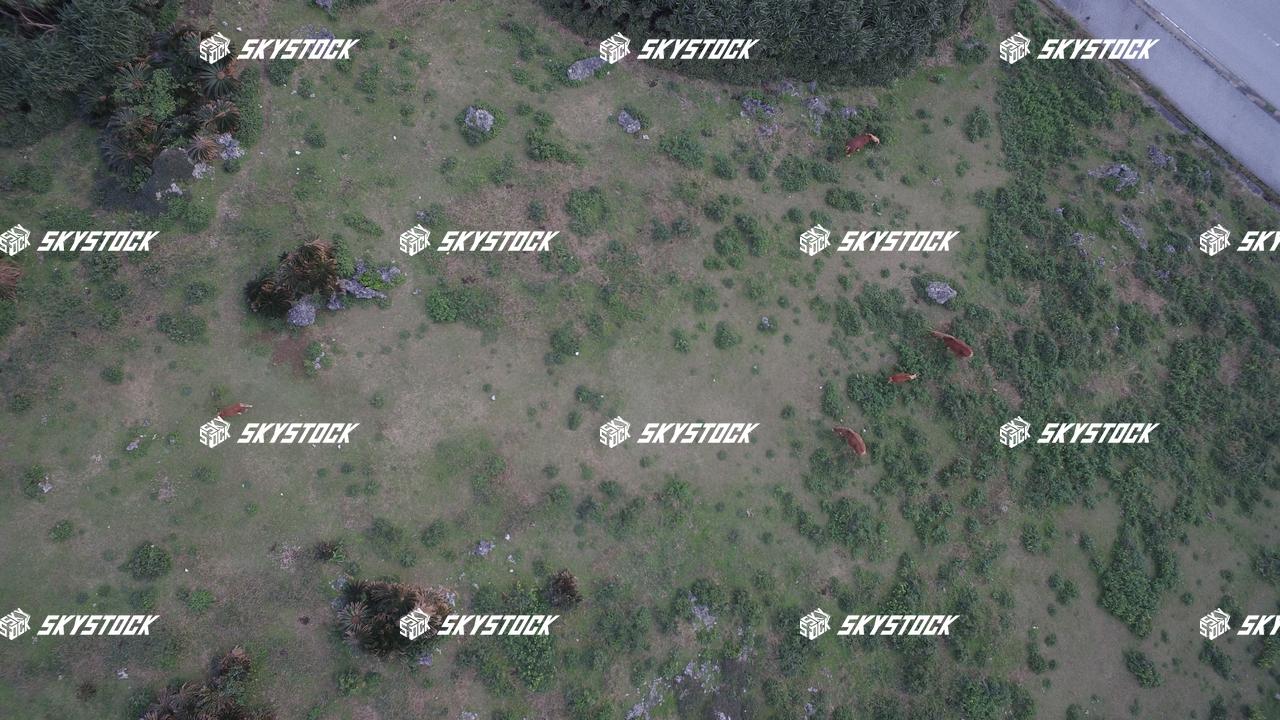 与那国　サービス4