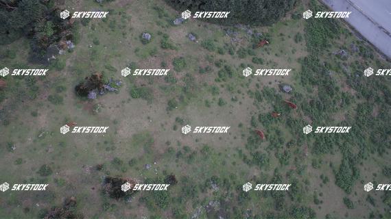 与那国　サービス4