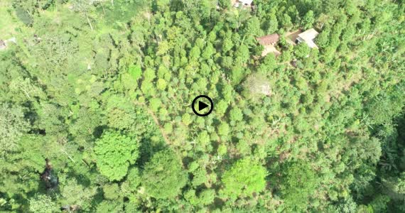 ギッギッの滝8-1