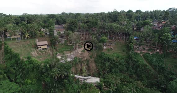 バリスイング2-1