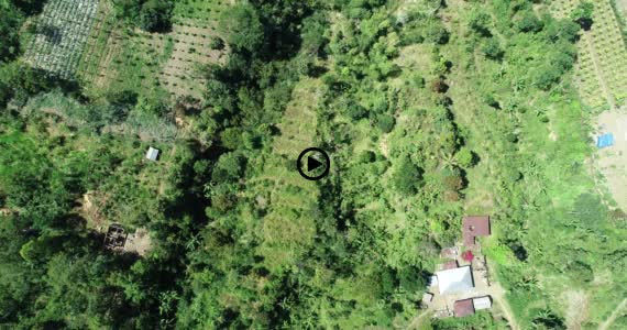 バトゥール山2-1