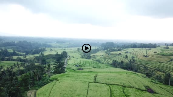 ライステラスMavic2-1