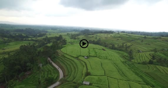 ライステラス世界遺産7-2