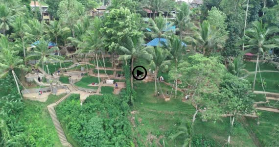 バリスイング1-1