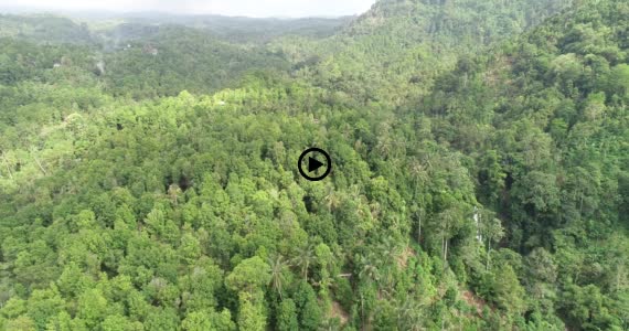 ギッギッの滝10-1