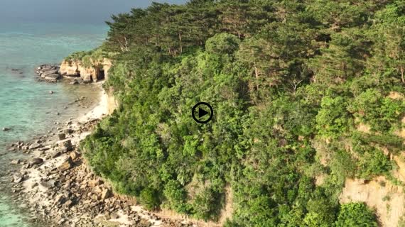西表島　イダの浜　後半