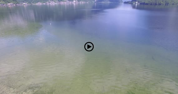 ハルシュタット1-3